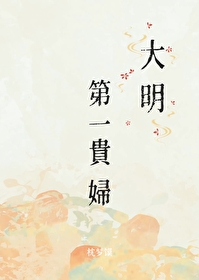 大明第一贵妇小说