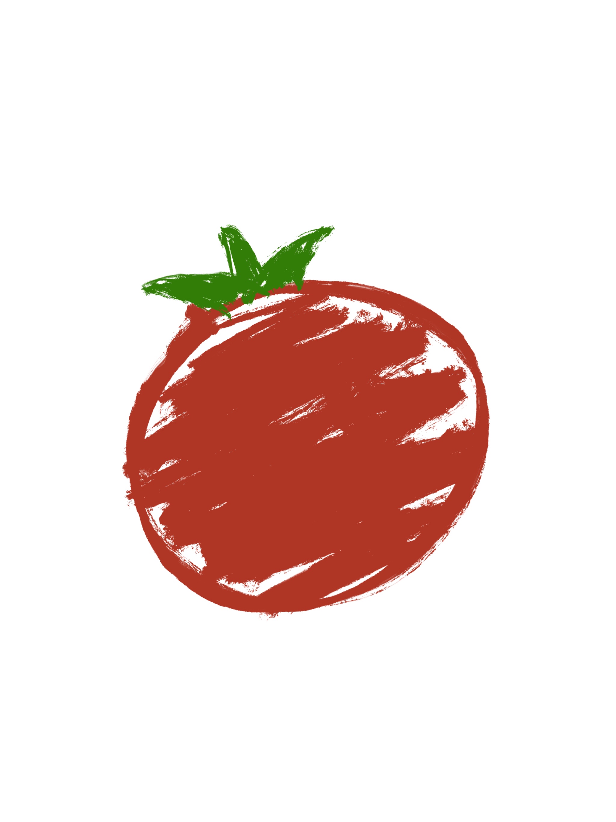 番茄生长观察日志